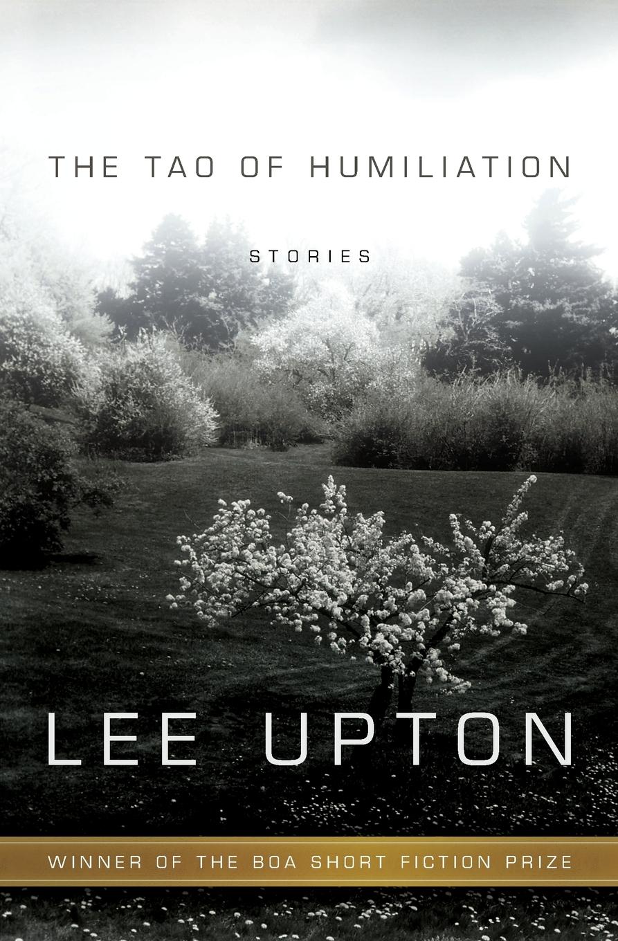 Vorderes Coverbild The Tao of Humiliation