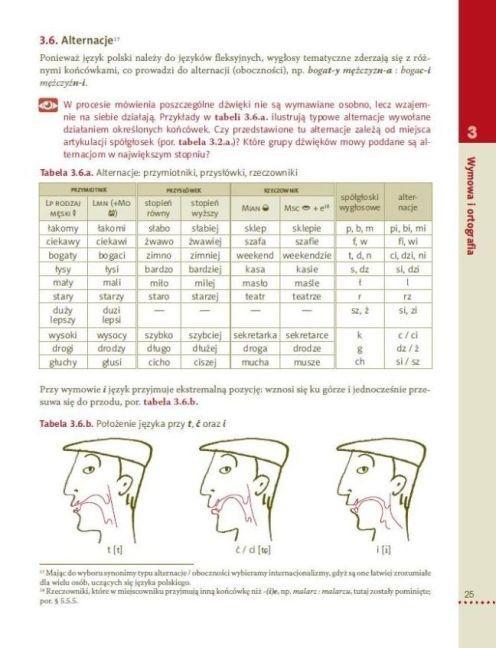 Beispielinhalt (Bild) Hurra! Odkrywamy Jezyk Polski (Polish Edition of Discovering Polish: A Learner's Grammar)