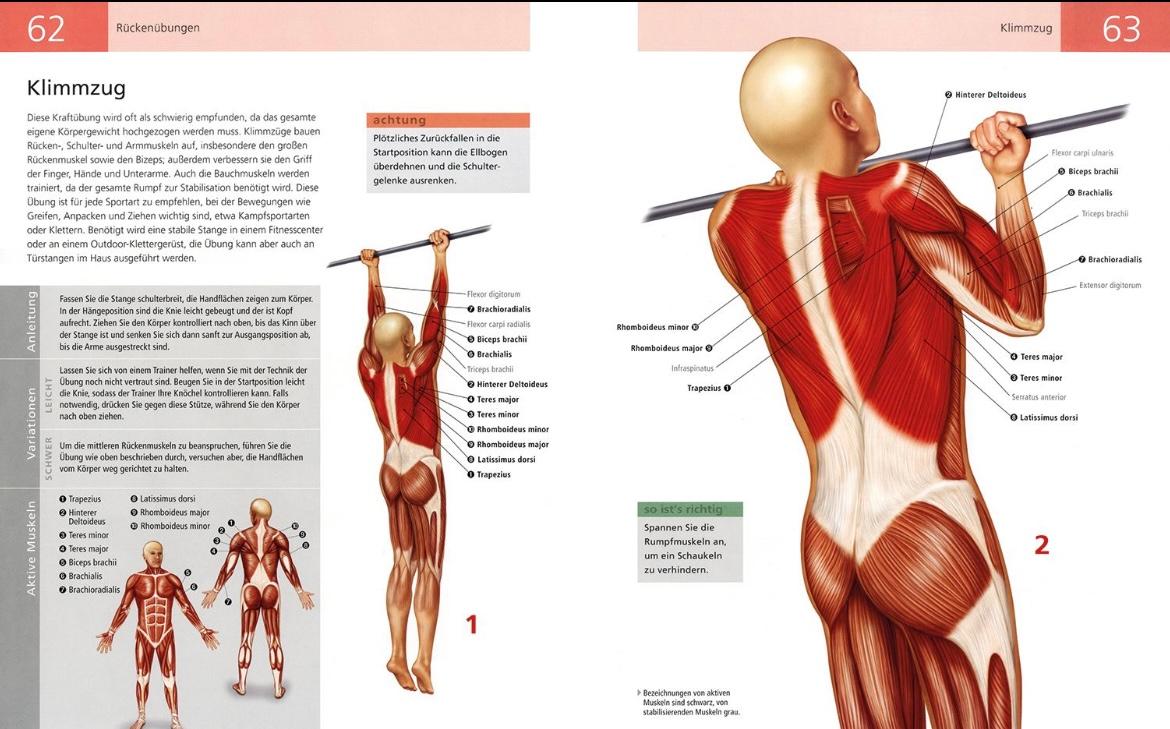 Beispielinhalt (Bild) Das Anatomie-Buch der Fitness