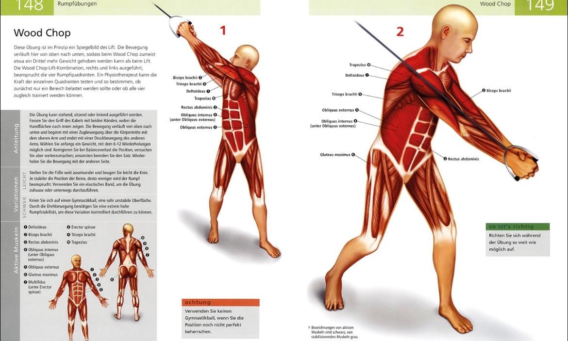 Beispielinhalt (Bild) Das Anatomie-Buch der Fitness