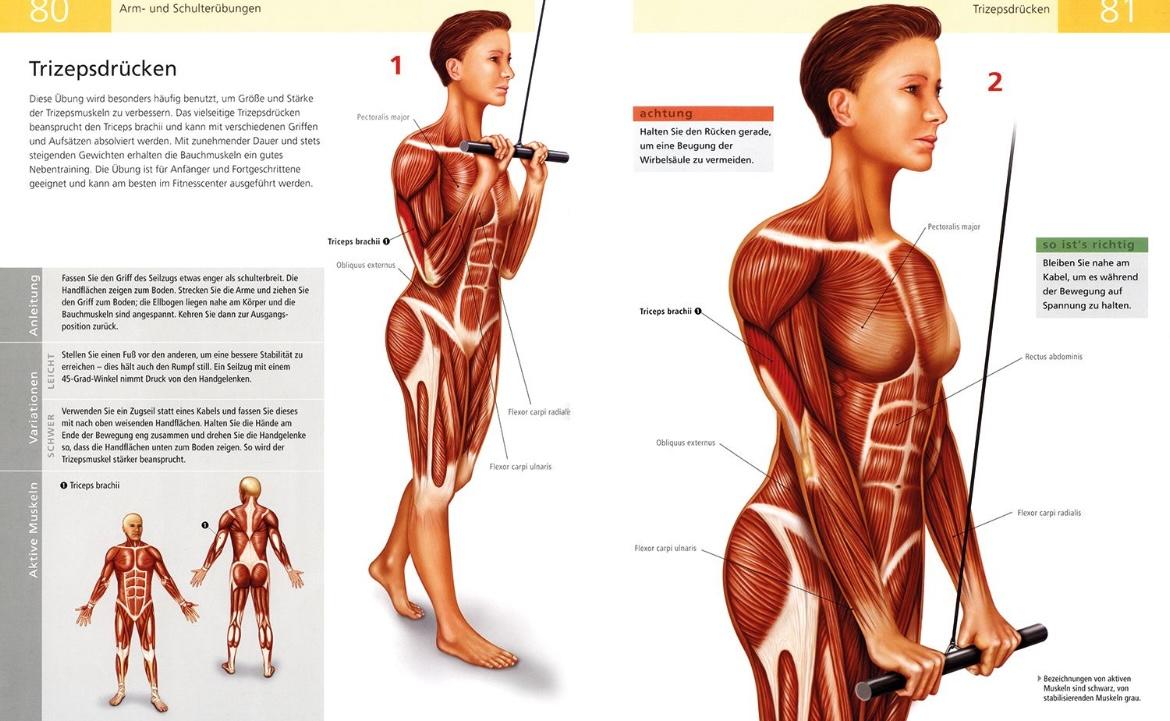 Beispielinhalt (Bild) Das Anatomie-Buch der Fitness