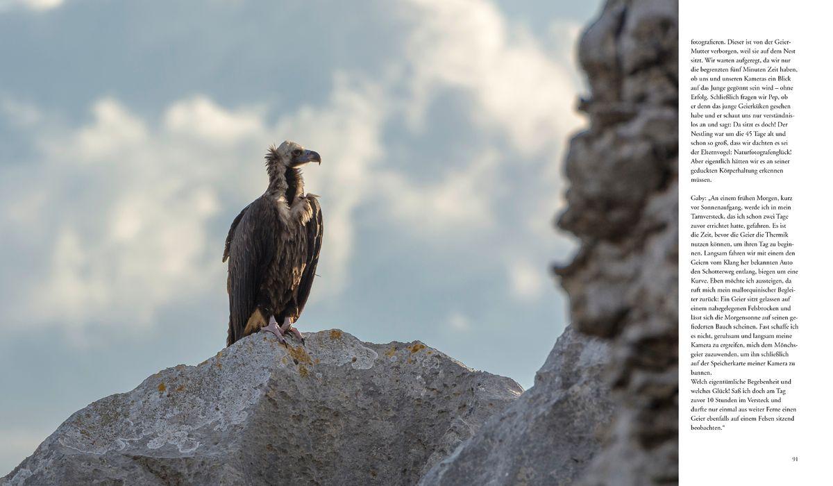 Beispielinhalt (Bild) NATURERLEBNIS MALLORCA