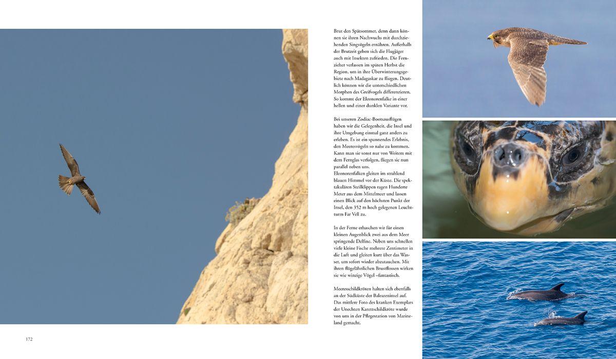 Beispielinhalt (Bild) NATURERLEBNIS MALLORCA