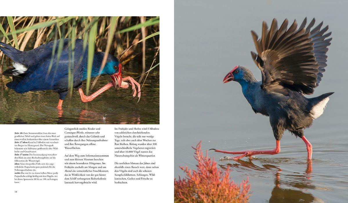 Beispielinhalt (Bild) NATURERLEBNIS MALLORCA