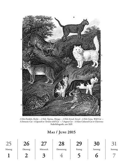 Beispielinhalt (Bild) Katzen in der Kunst 2015