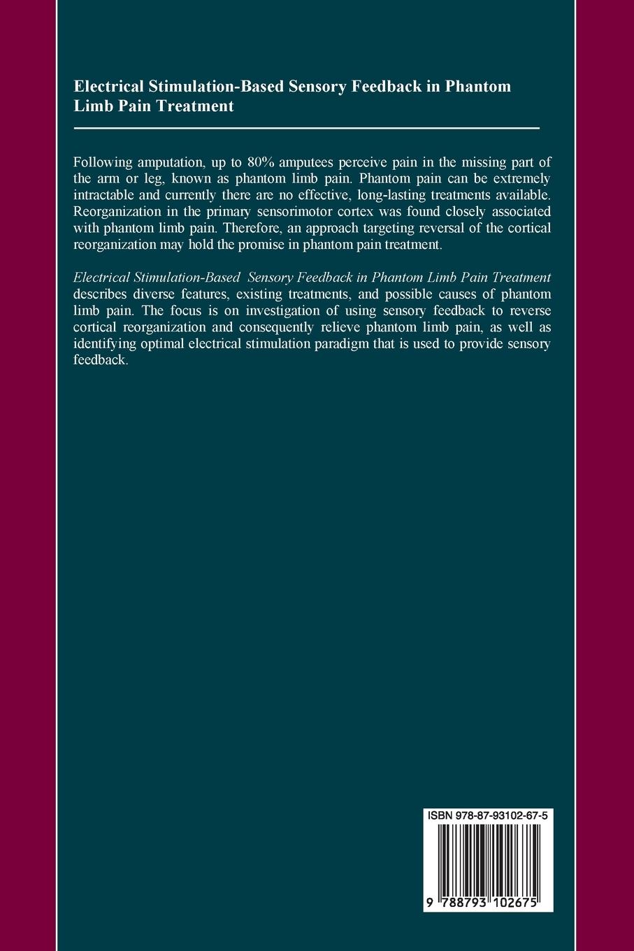 Rückseitencover Electrical Stimulation-Based Sensory Feedback in Phantom Limb Pain Treatment