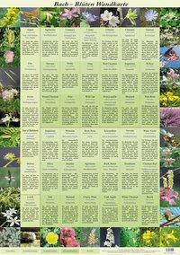 Vorderes Coverbild Bach Blüten Wandkarte