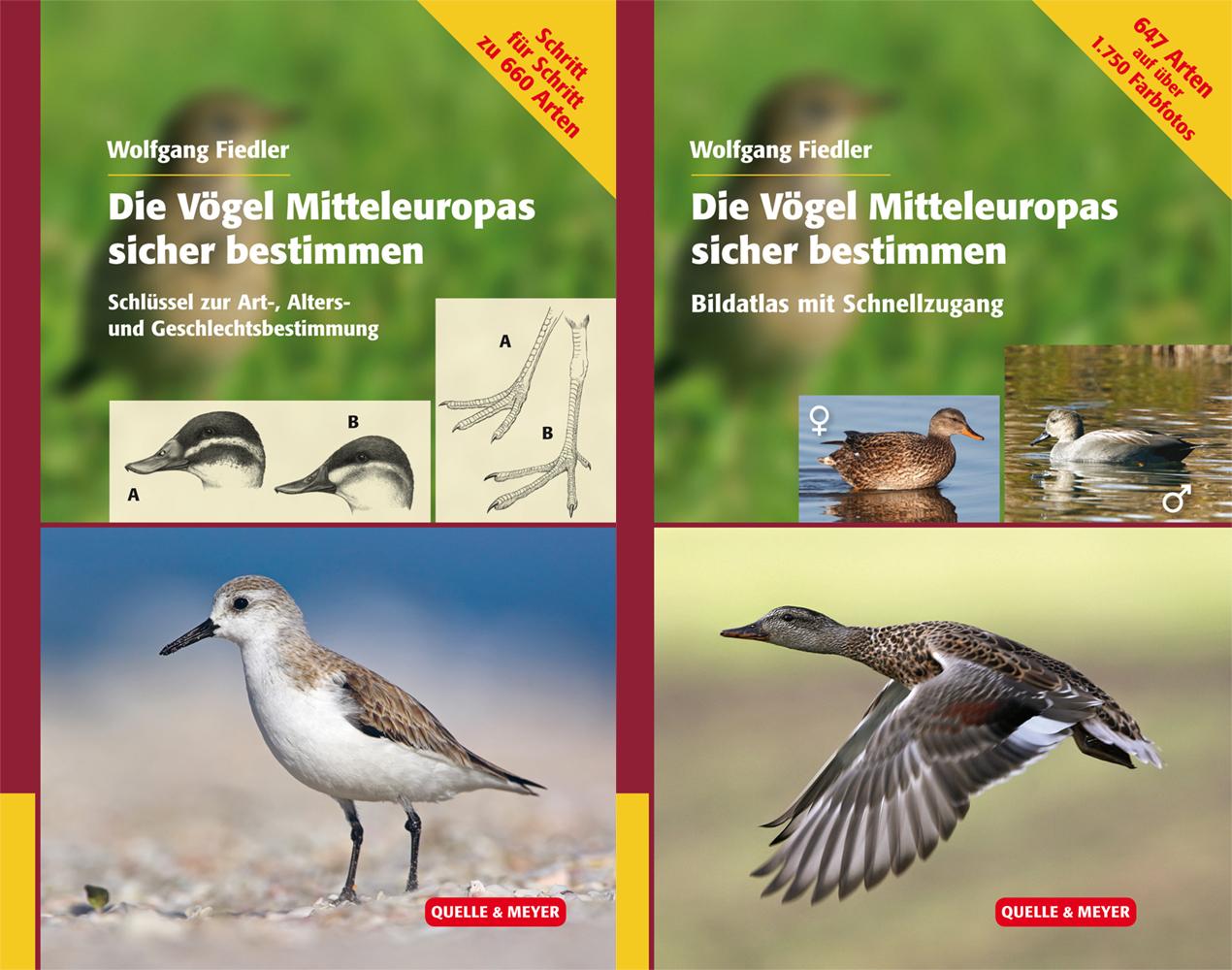 Vorderes Coverbild Die Vögel Europas sicher bestimmen