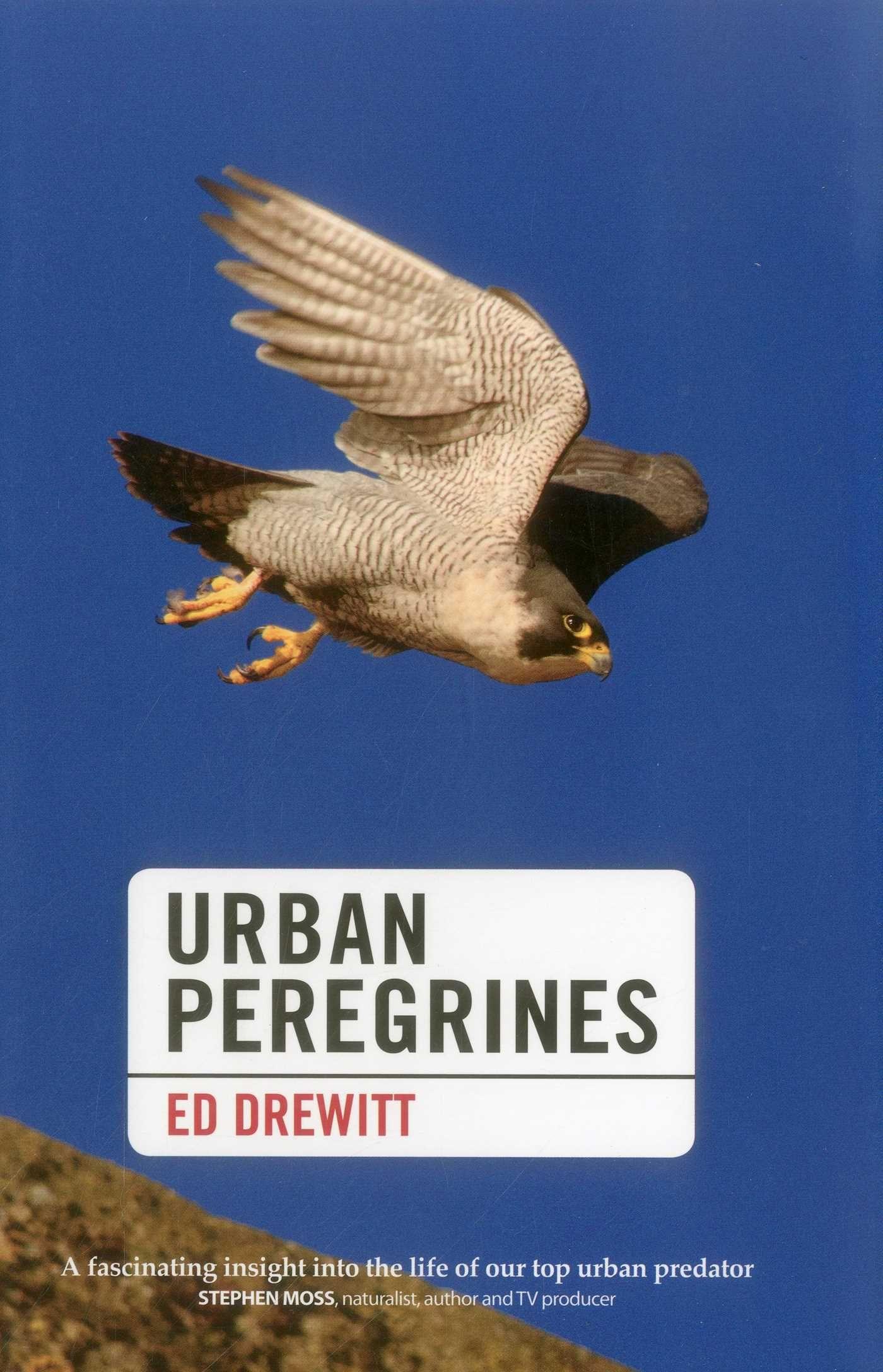 Vorderes Coverbild Urban Peregrines