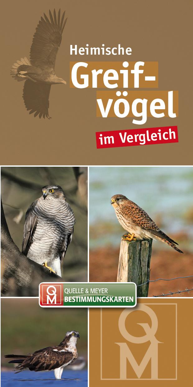 Vorderes Coverbild Bestimungskarten Heimische Greifvögel