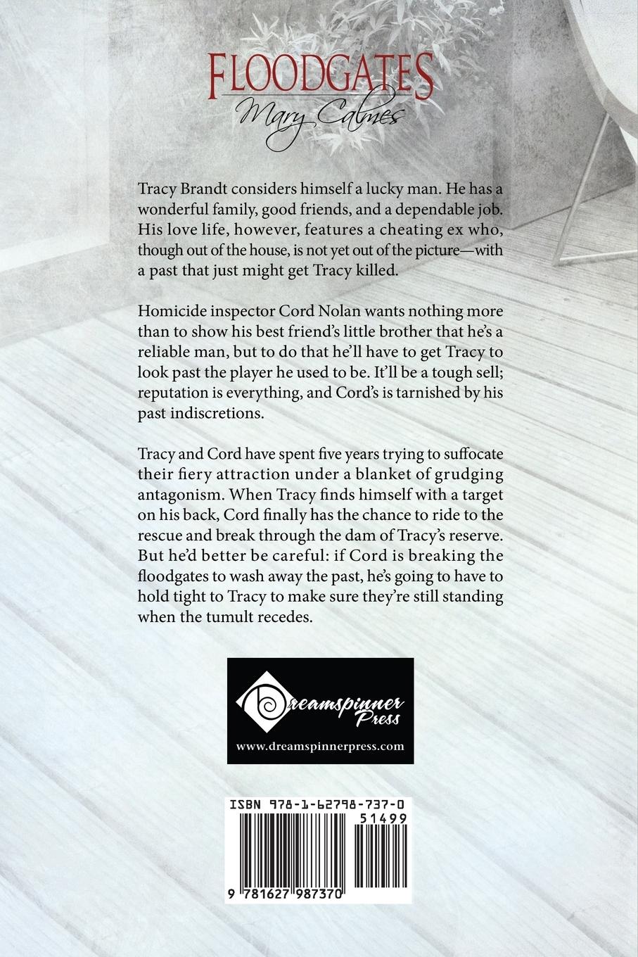 Rückseitencover Floodgates