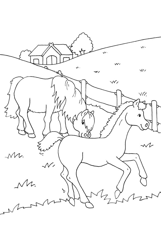 Beispielinhalt (Bild) Mein dickes Malbuch. Pferde