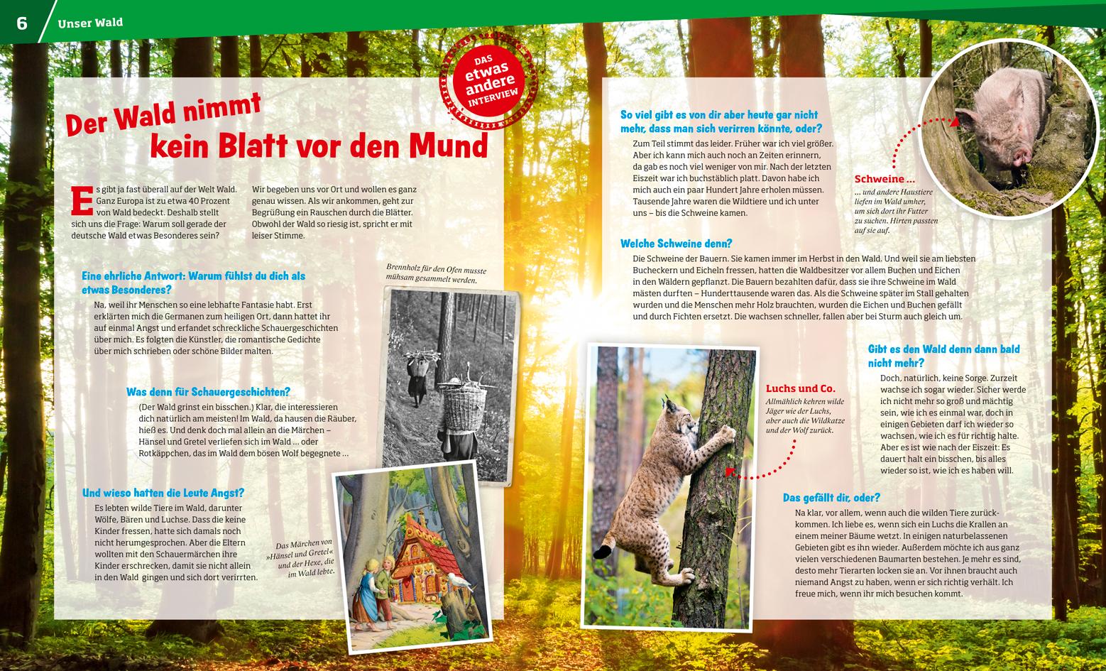 Beispielinhalt (Bild) WAS IST WAS Band 134 Wald. Mehr als nur Bäume