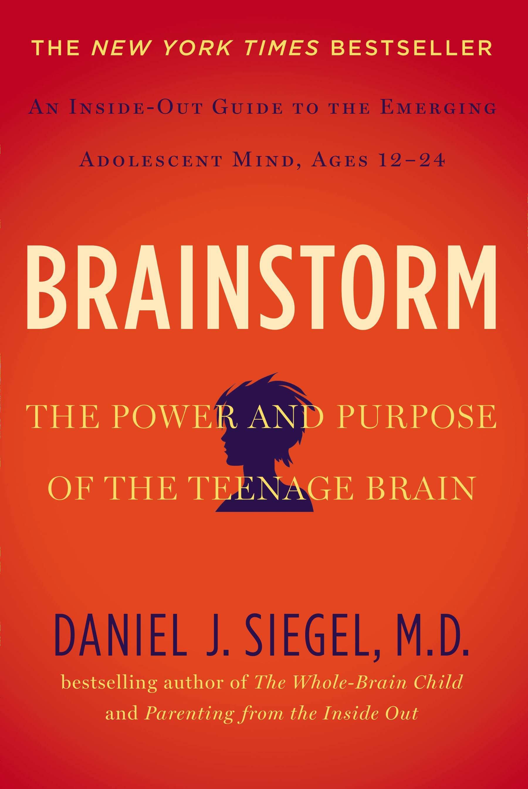 Vorderes Coverbild Brainstorm
