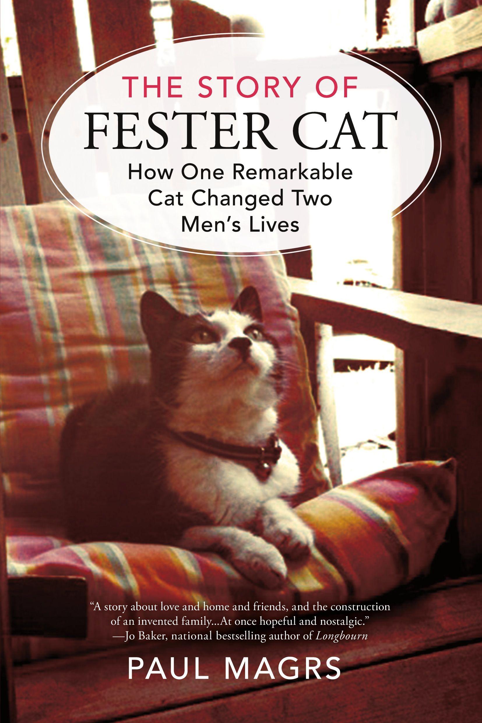 Vorderes Coverbild The Story of Fester Cat