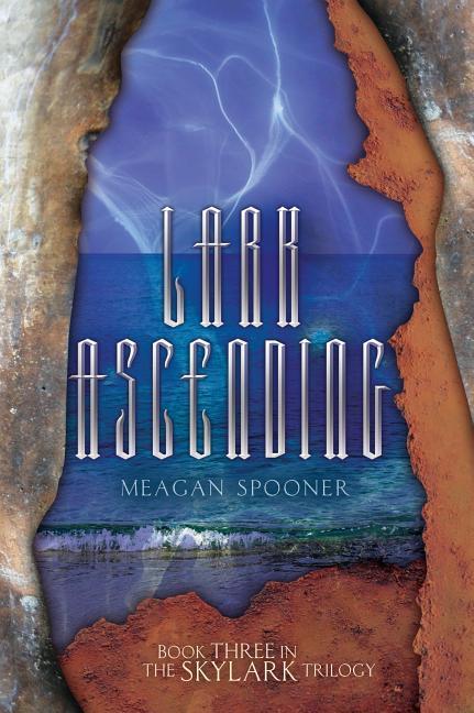 Vorderes Coverbild Lark Ascending