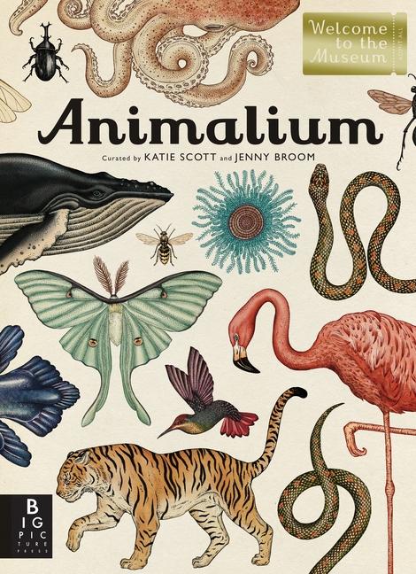 Vorderes Coverbild Animalium
