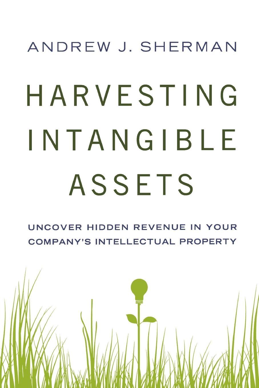 Vorderes Coverbild The Harvesting Intangible Assets