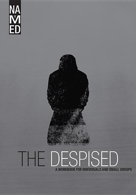 Vorderes Coverbild Named: The Despised