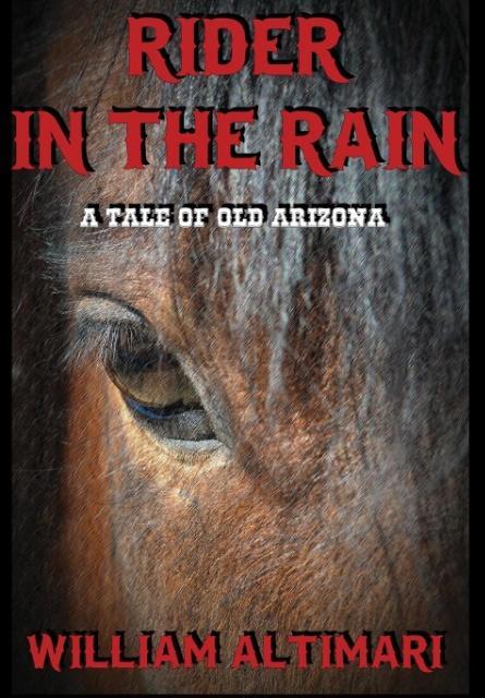 Vorderes Coverbild Rider in the Rain