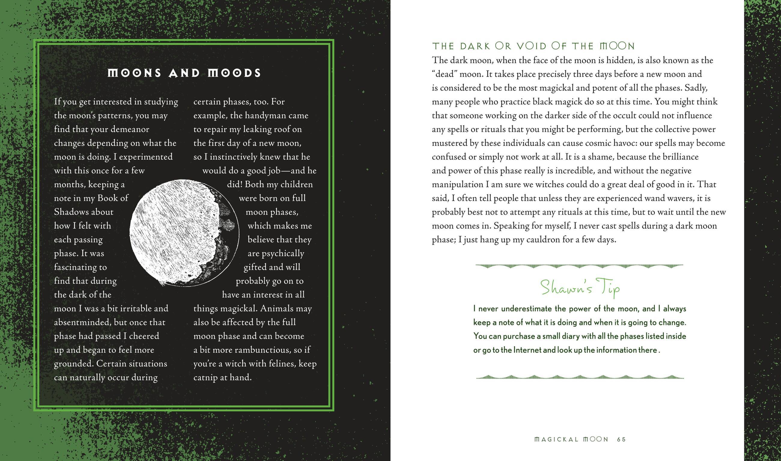 Beispielinhalt (Bild) Wiccapedia