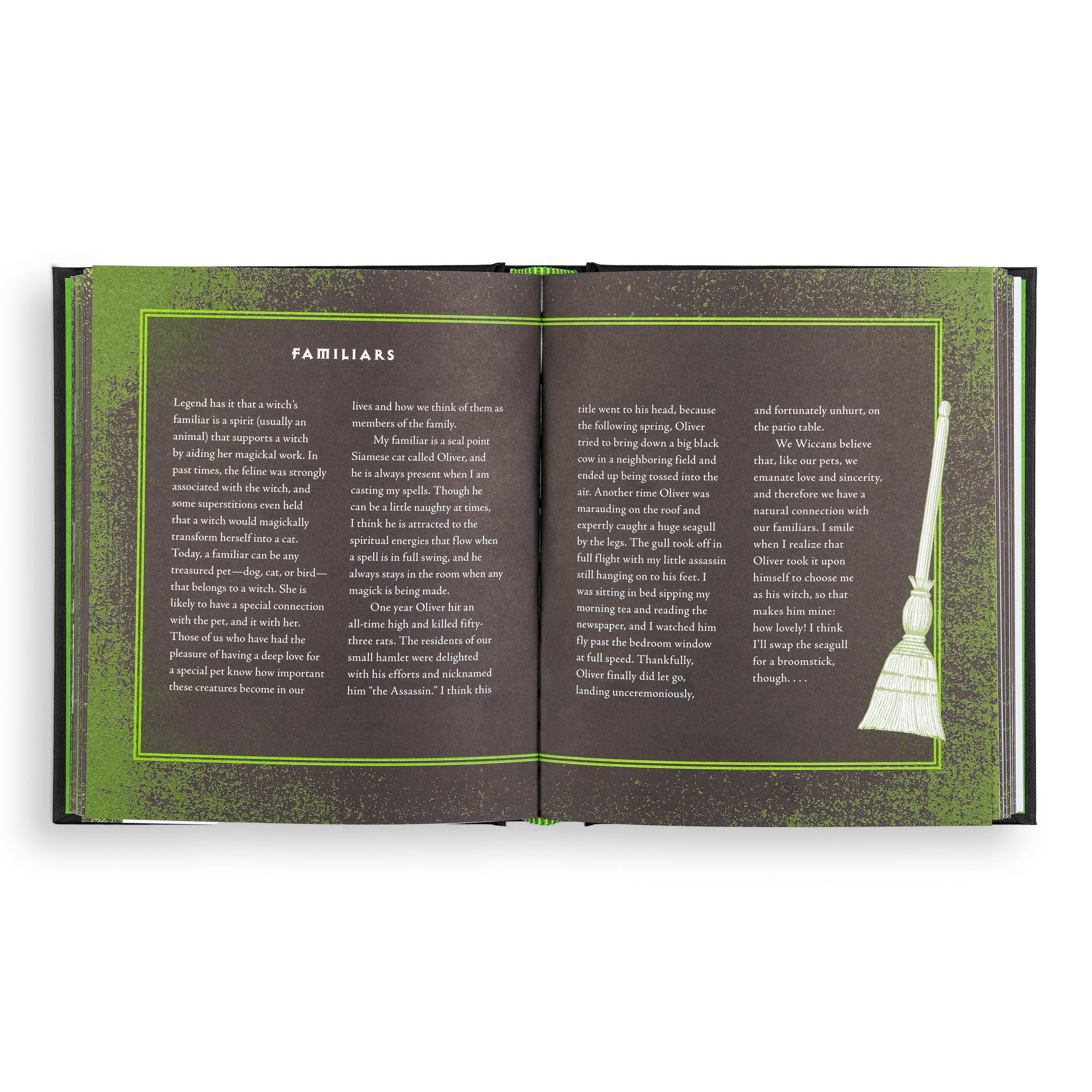 Beispielinhalt (Bild) Wiccapedia