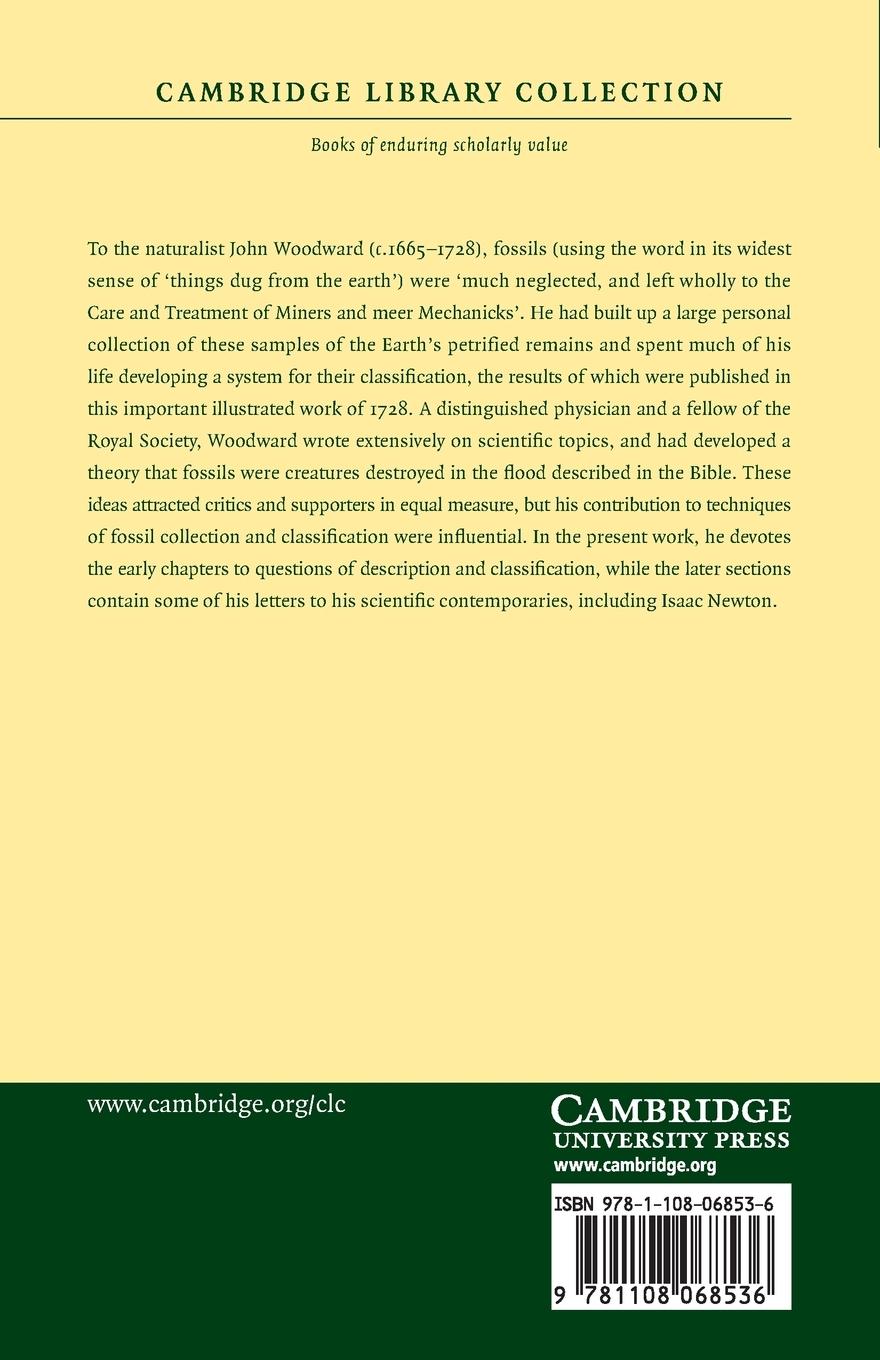 Rückseitencover Fossils of All Kinds