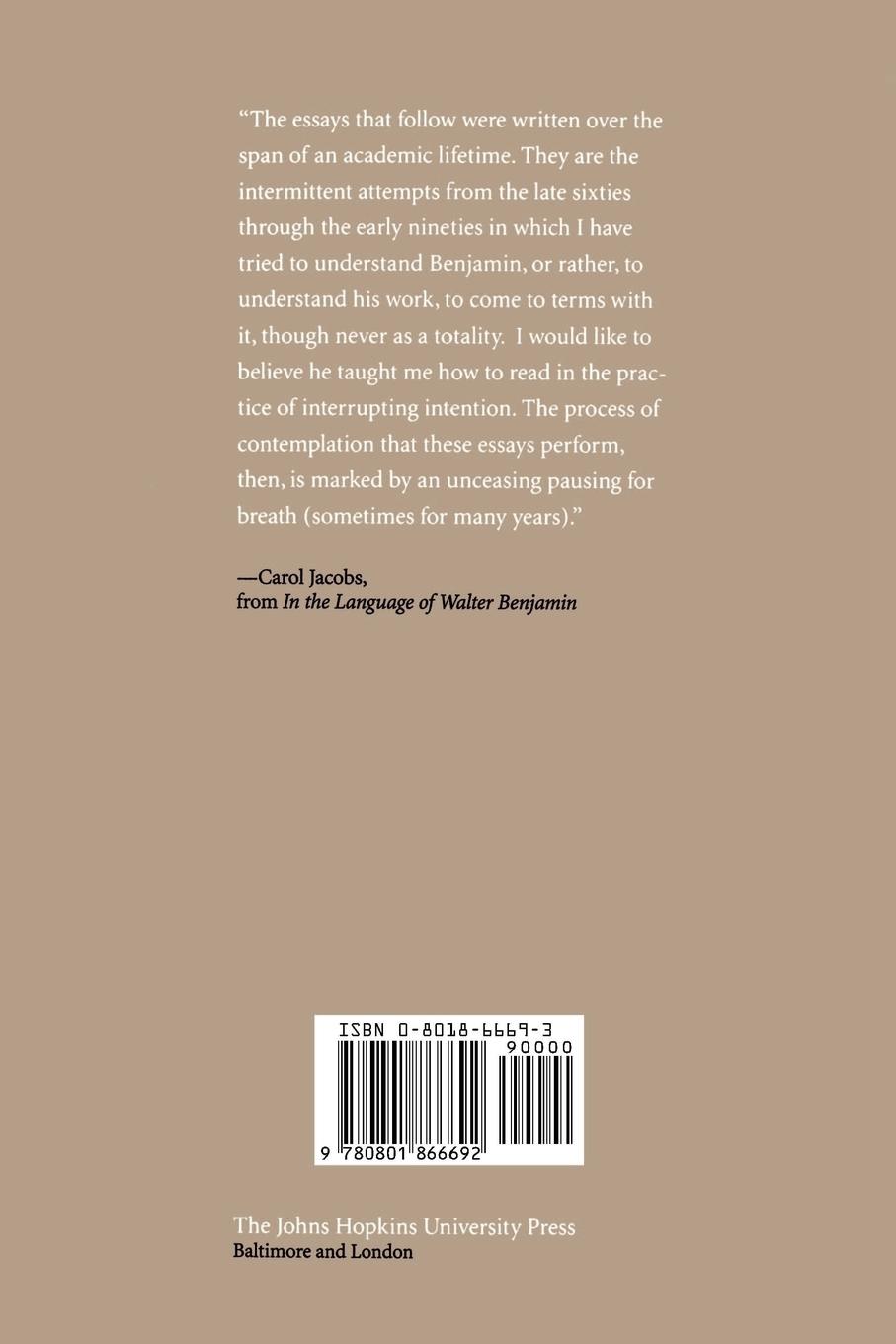 Rückseitencover In the Language of Walter Benjamin