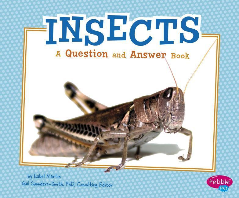 Vorderes Coverbild Insects