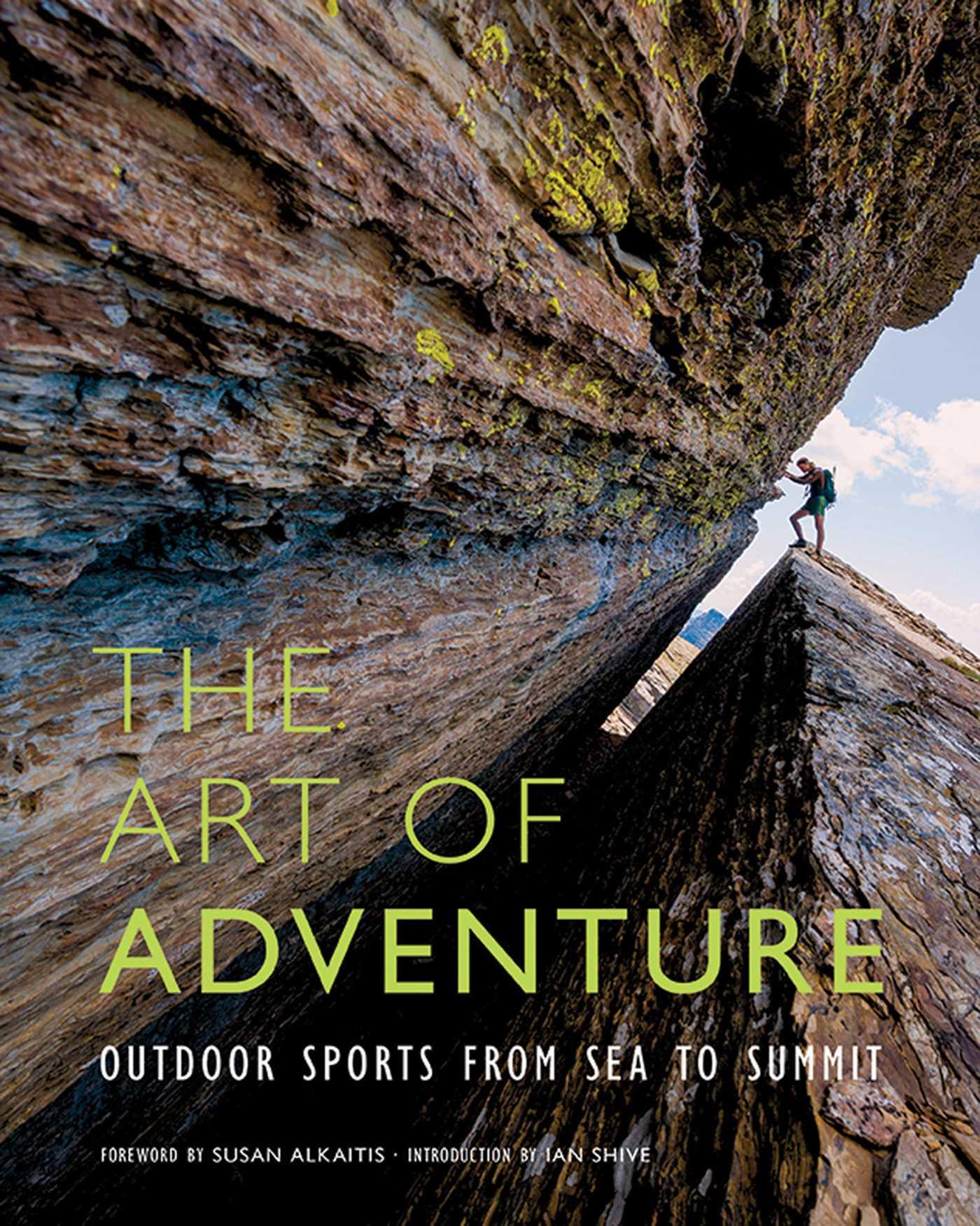 Vorderes Coverbild The Art of Adventure