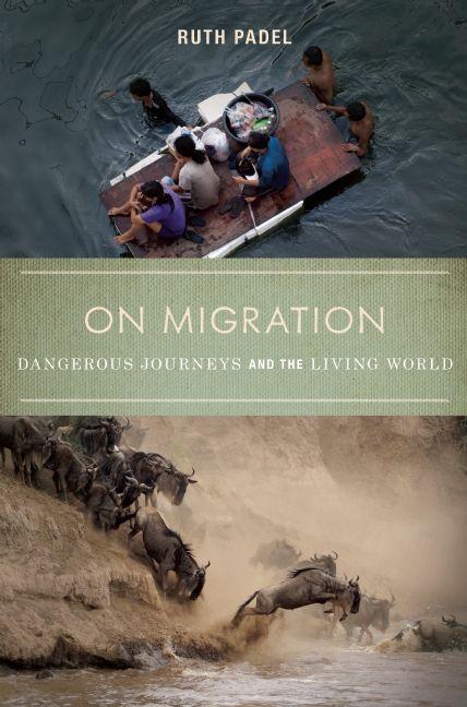 Vorderes Coverbild On Migration
