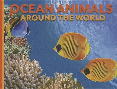 Vorderes Coverbild Ocean Animals Around the World