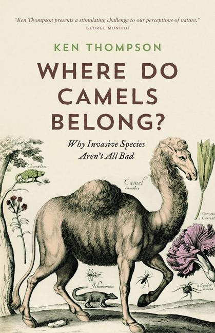 Vorderes Coverbild Where Do Camels Belong?
