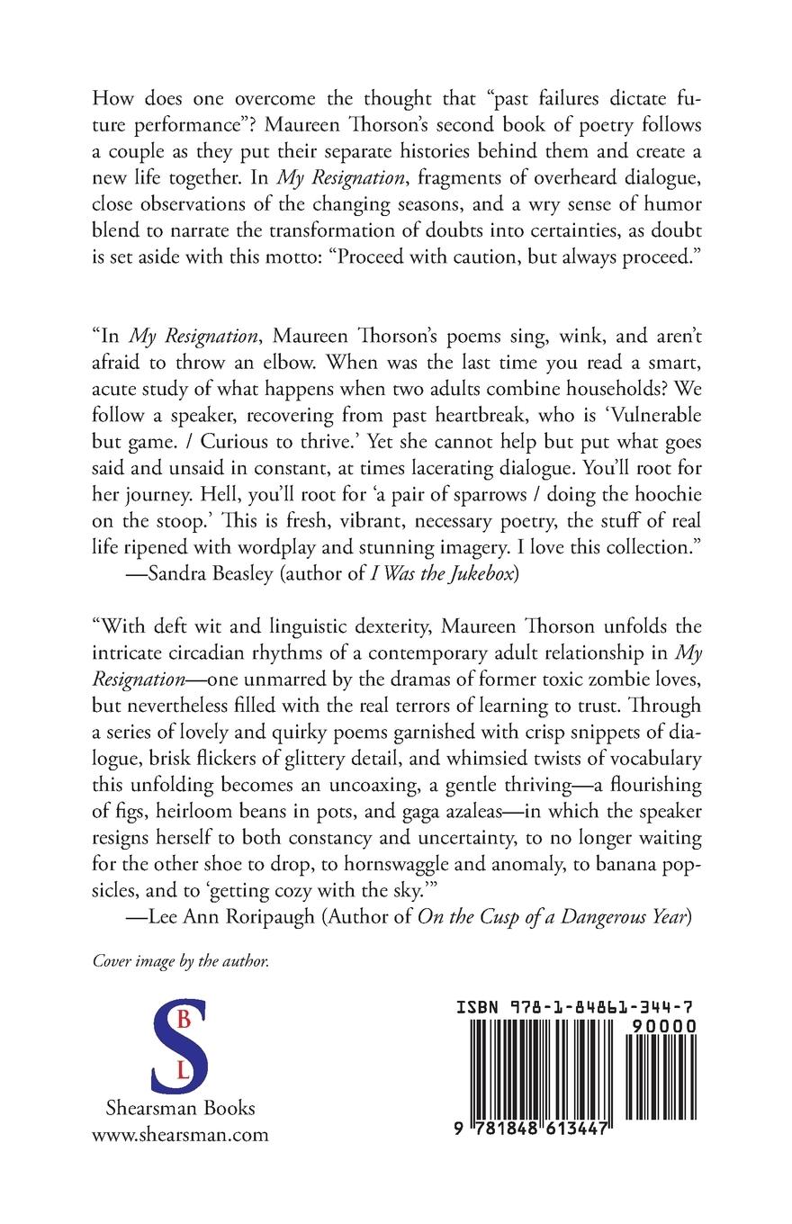 Rückseitencover My Resignation