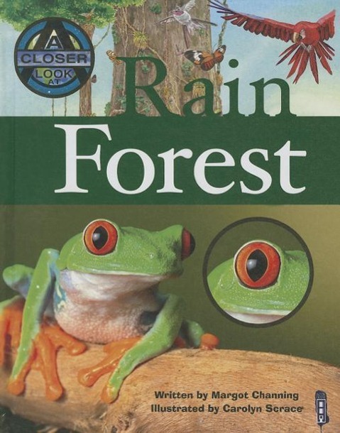 Vorderes Coverbild Rain Forest