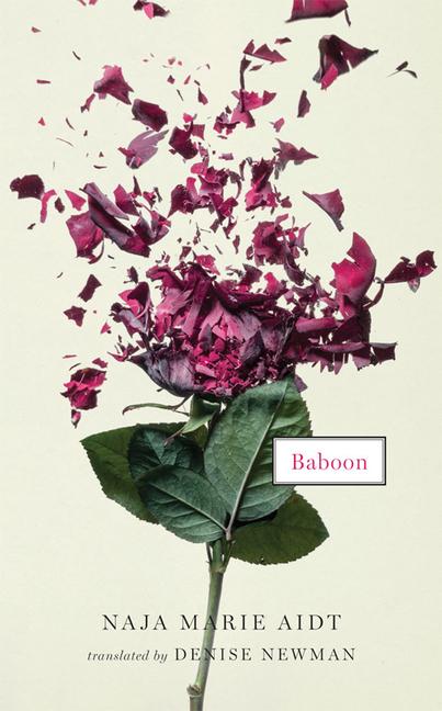 Vorderes Coverbild Baboon