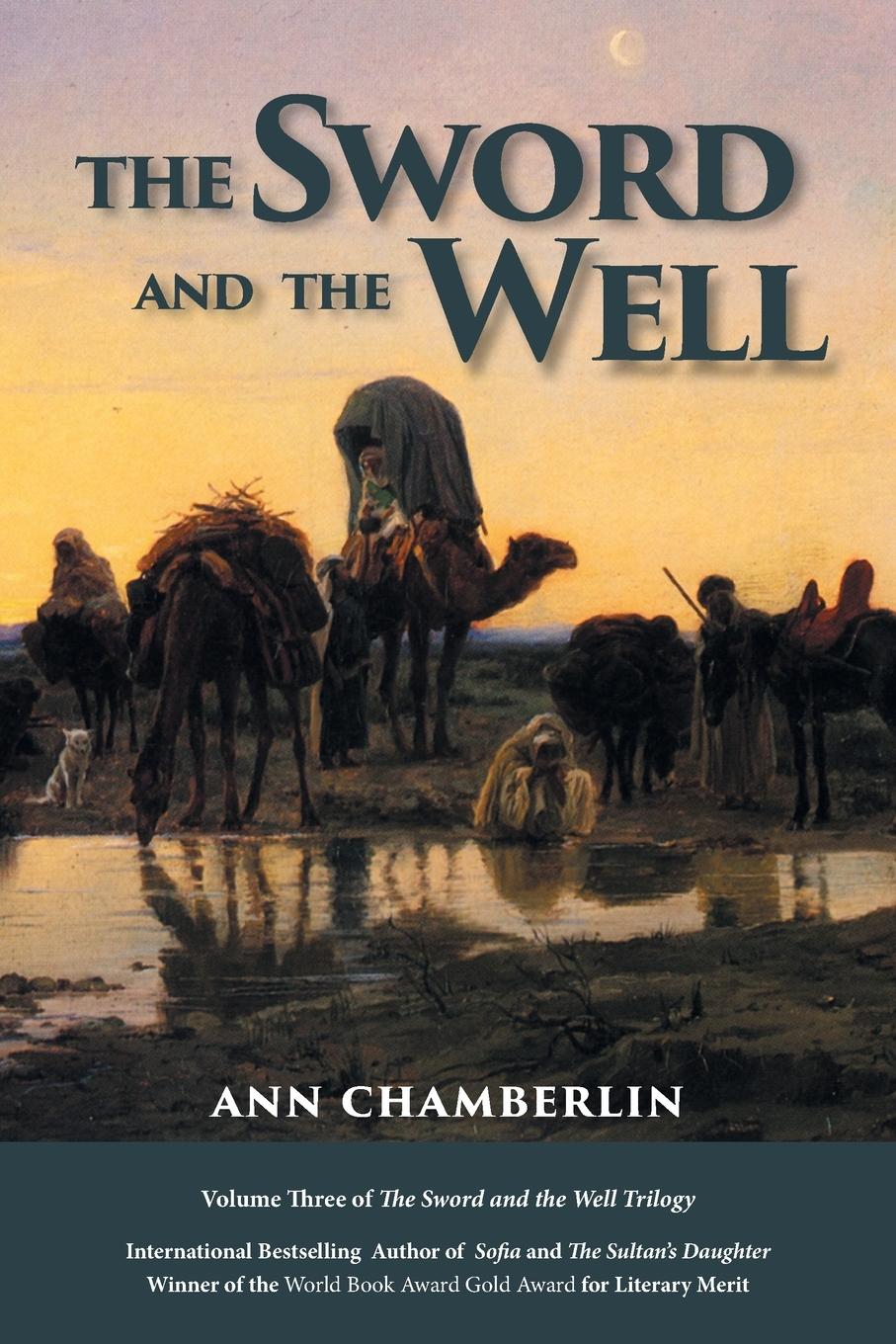 Vorderes Coverbild The Sword and the Well
