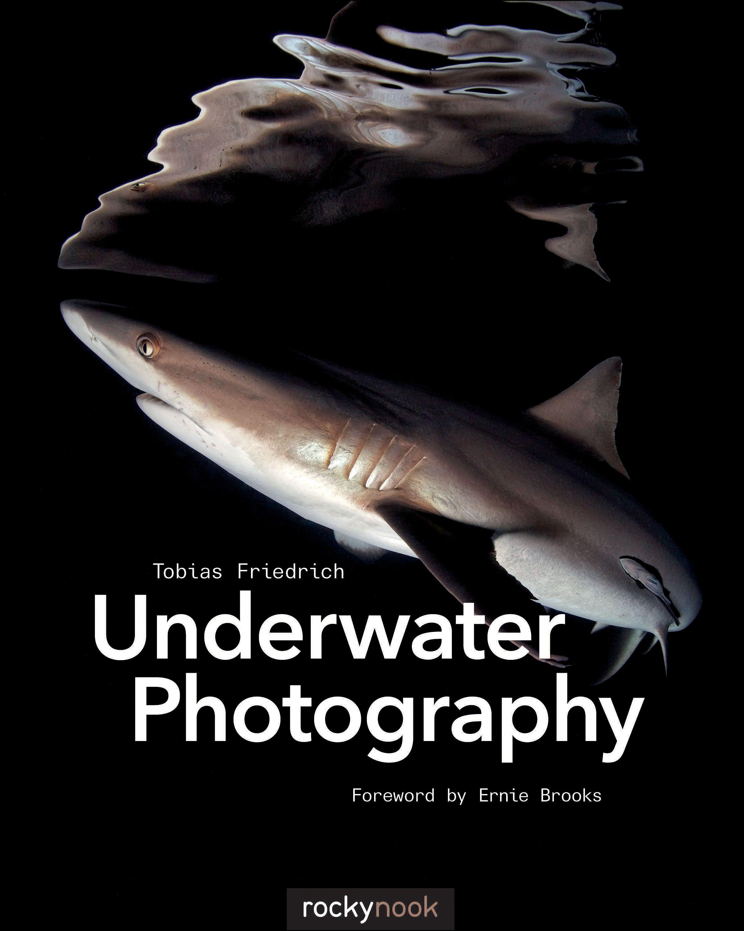 Vorderes Coverbild Underwater Photography