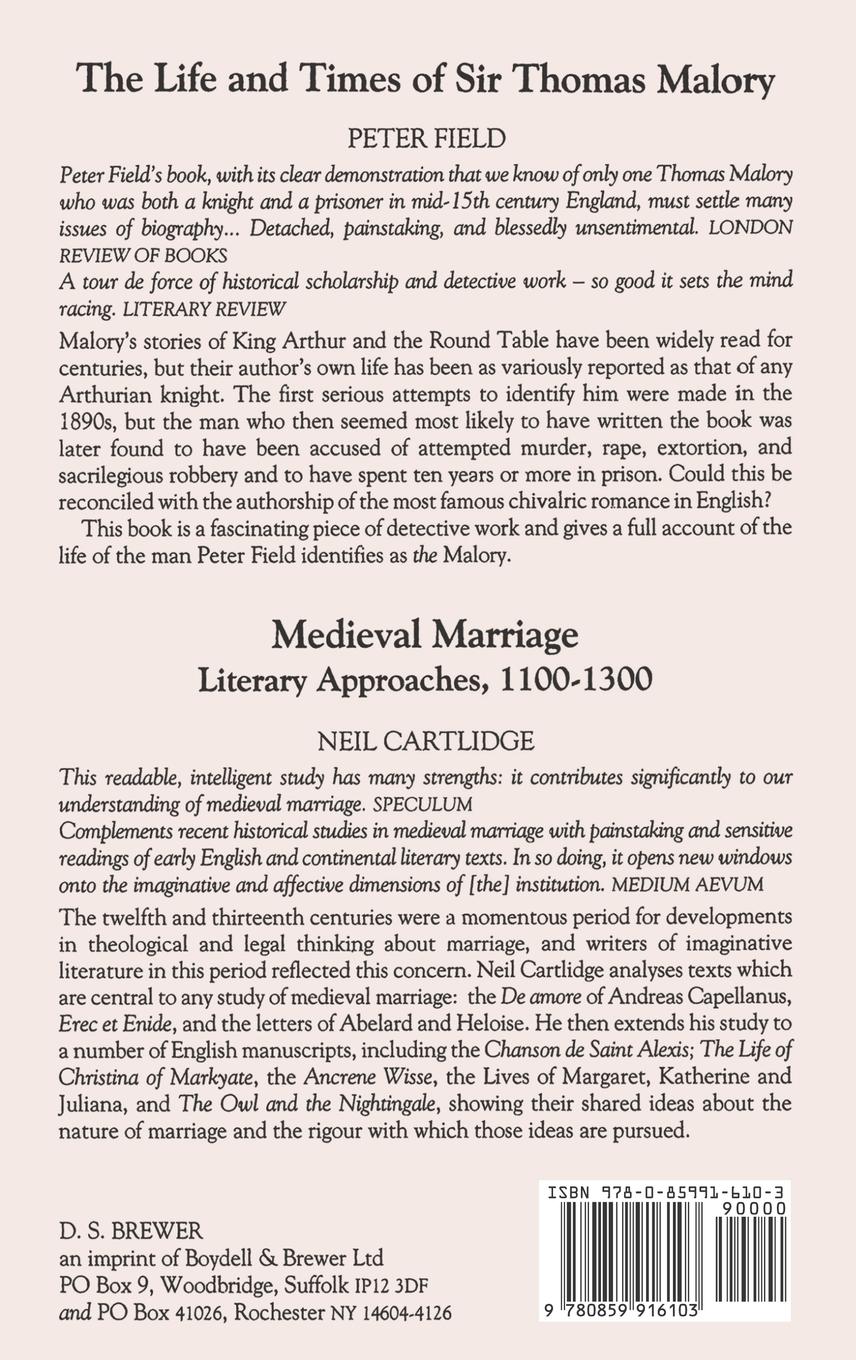 Rückseitencover Rape and Ravishment in the Literature of Medieval England