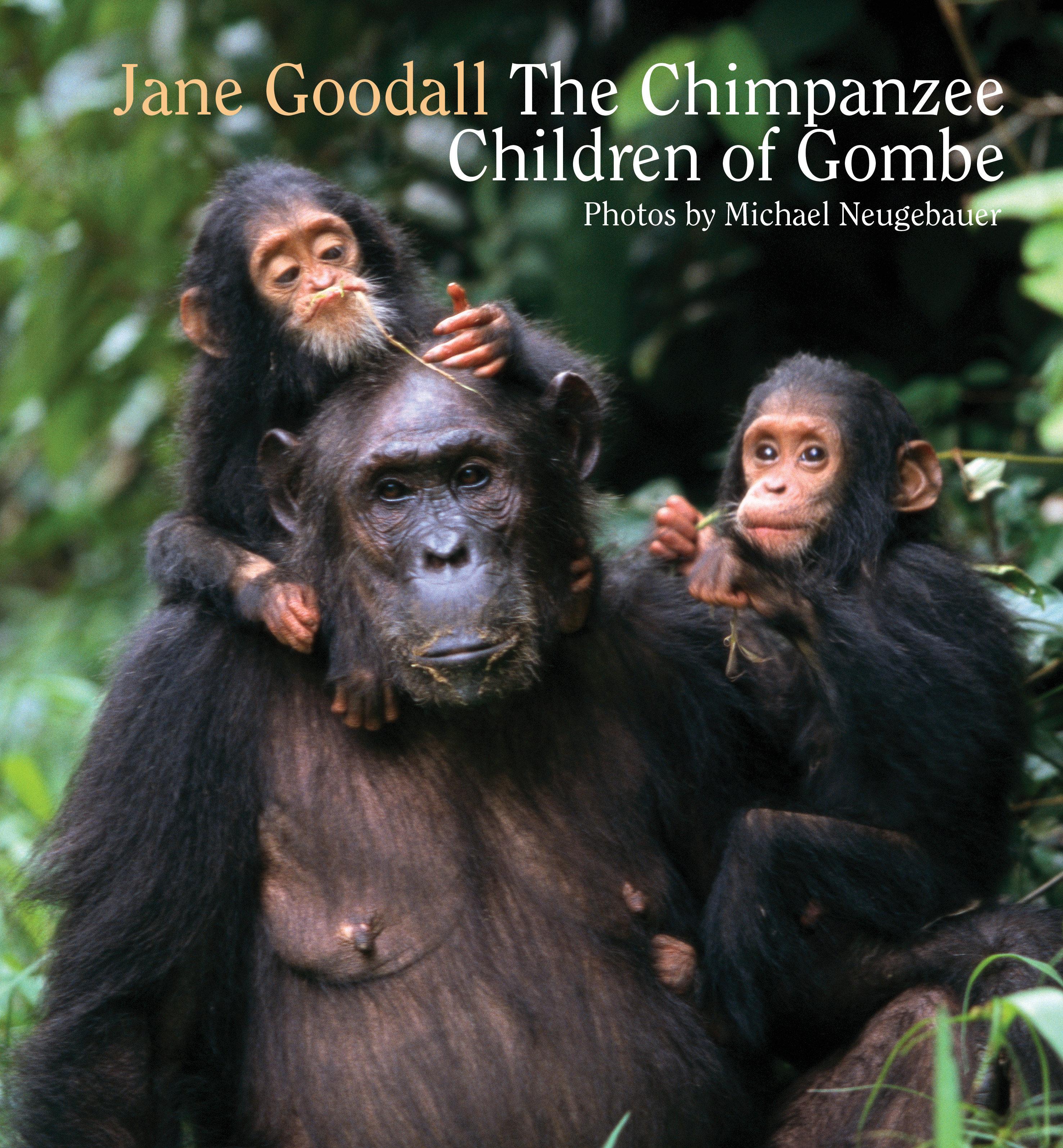 Vorderes Coverbild Chimpanzee Children of Gombe