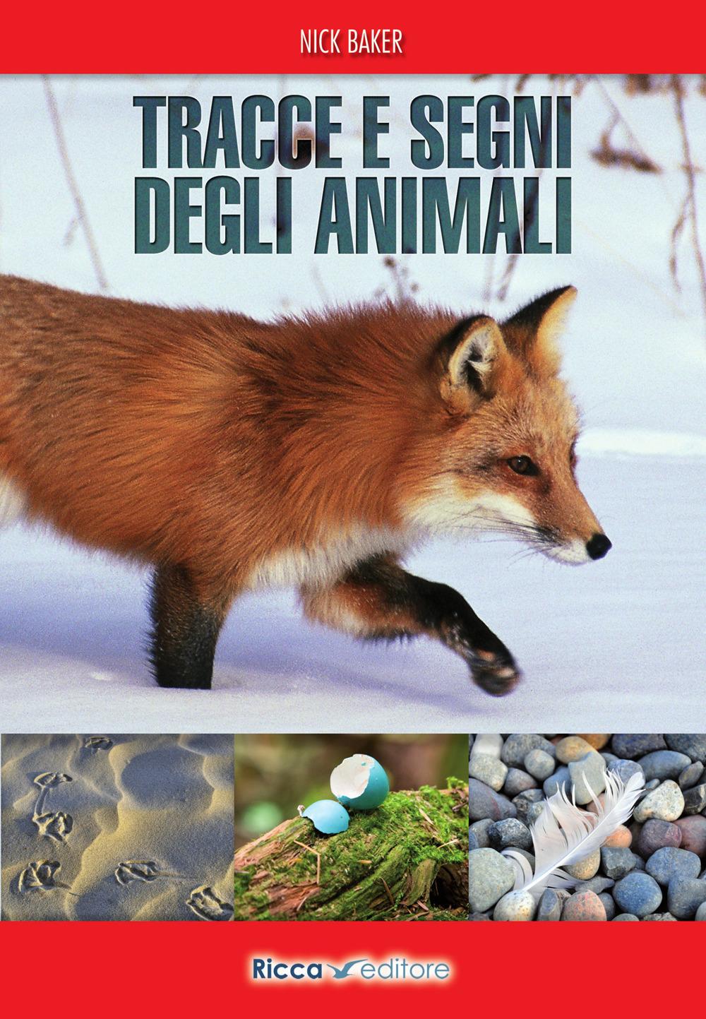 Vorderes Coverbild Tracce e segni degli animali