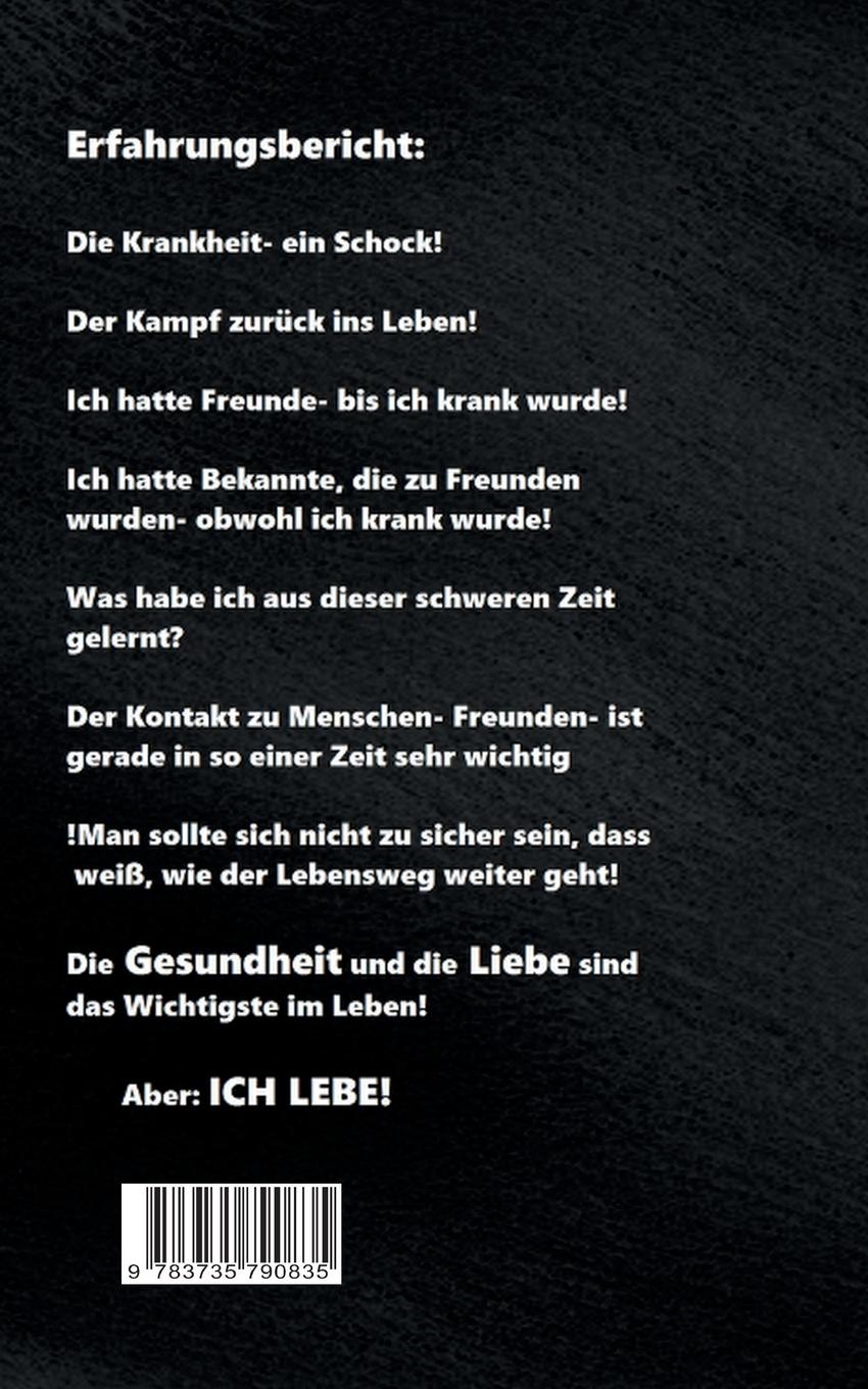 Rückseitencover ...In einem Sommer wie diesem...