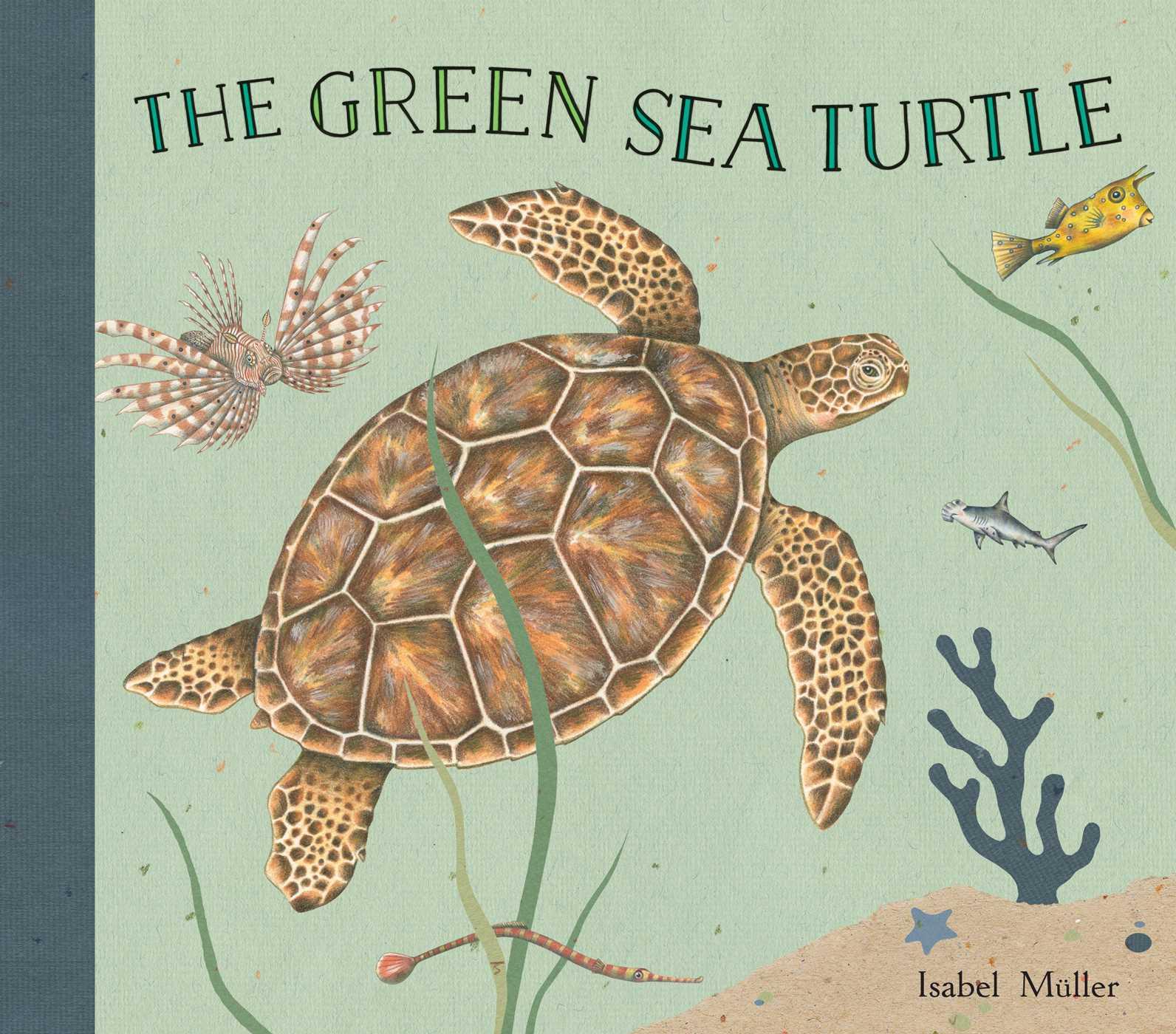 Vorderes Coverbild The Green Sea Turtle