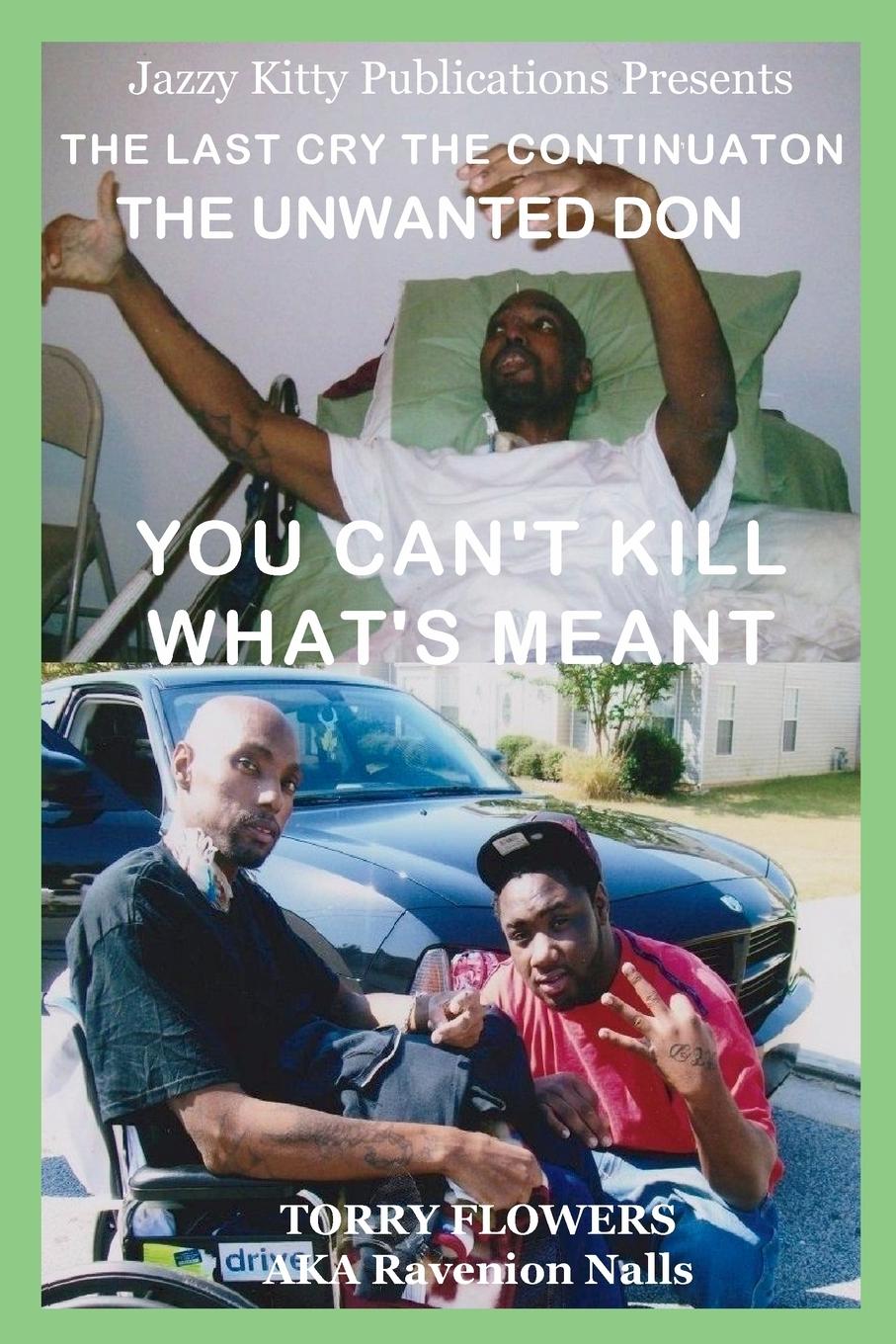 Vorderes Coverbild The Last Cry The Continuation The Unwanted Don