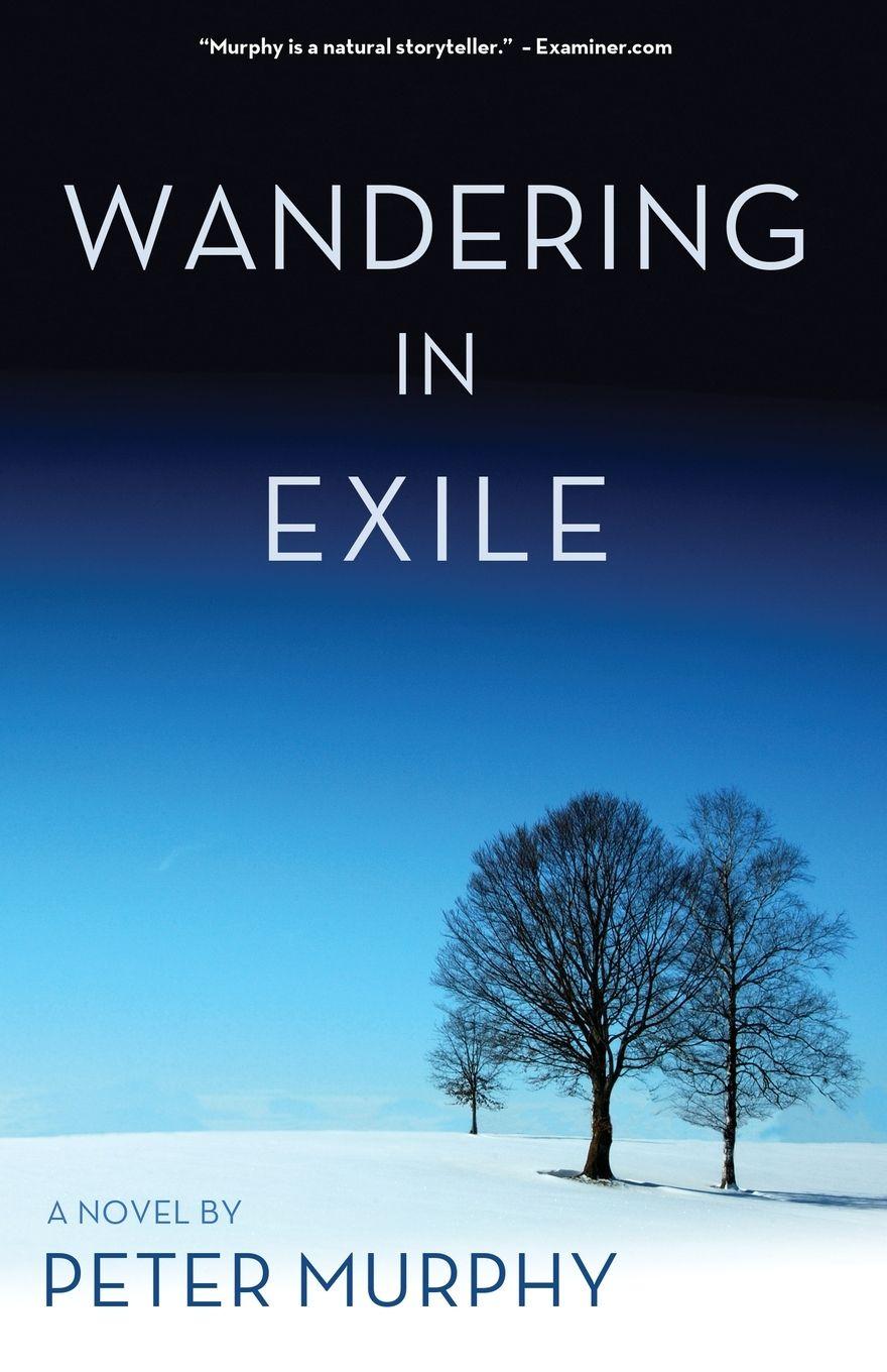 Vorderes Coverbild Wandering in Exile