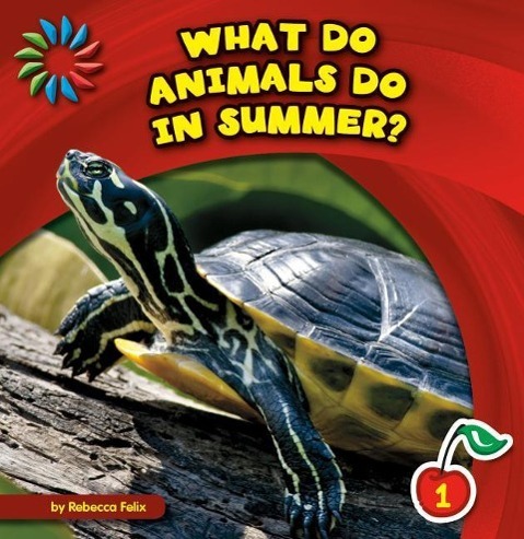 Vorderes Coverbild What Do Animals Do in Summer?