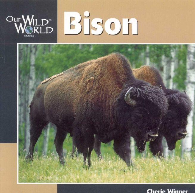 Vorderes Coverbild Bison