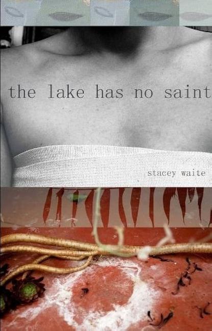 Vorderes Coverbild The Lake Has No Saint