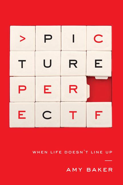 Vorderes Coverbild Picture Perfect