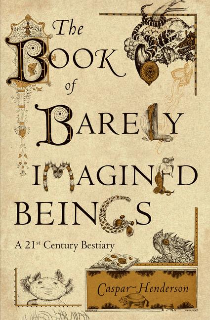 Vorderes Coverbild The Book of Barely Imagined Beings